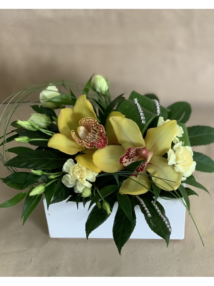 Dwa storczyki cymbidium